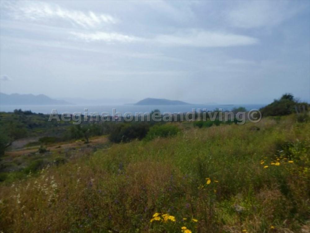 Land plot with sea view  - Property Aegina